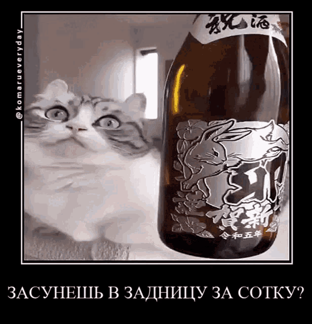 a cat standing next to a bottle of alcohol with a rabbit on the label