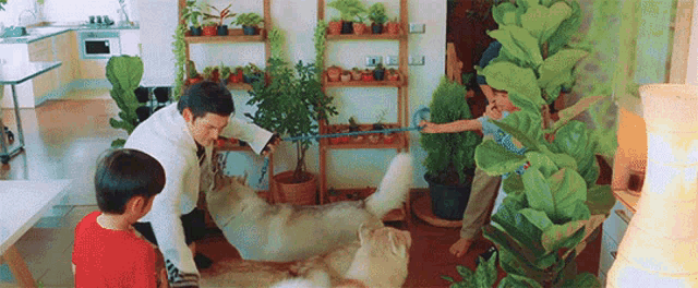 a man is playing with two dogs in a living room while two children watch .