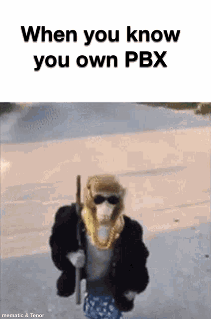 Monkey Pbx Boss GIF