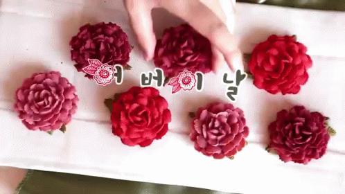 어버이날 카네이션 GIF - Parents Day Korean Carnation GIFs