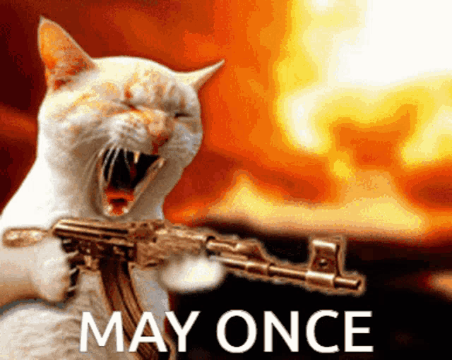 a cat holding a gun with the words may once written on the bottom
