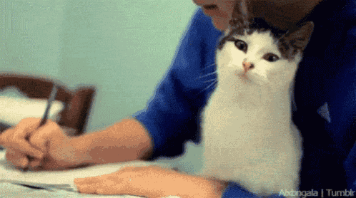 a man is writing on a piece of paper while a cat sits on his shoulders