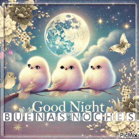 a picture of three birds sitting on a branch with the words good night buenas noches