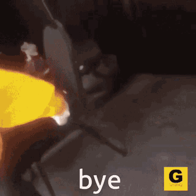 a gif of a person holding a yellow object with the word bye below it