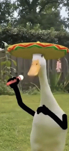 Duck Mexico GIF - Duck Mexico Sing GIFs