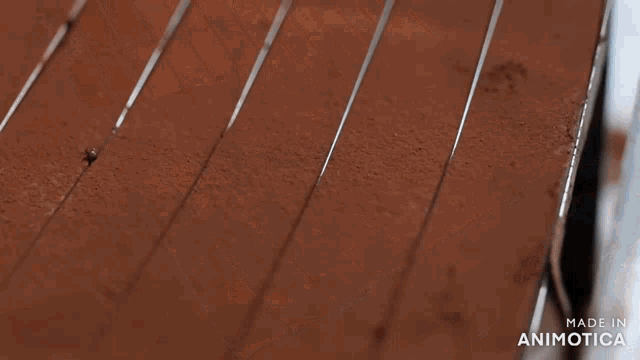 a person is cutting a piece of chocolate with the words made in animatica visible