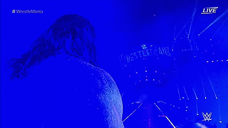 Undertaker Wrestle Mania GIF - Undertaker Wrestle Mania GIFs