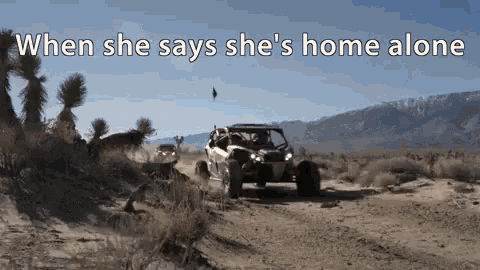 when she says she 's home alone a couple of buggies are driving through the desert