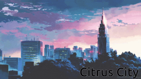 Yes Citrus City GIF - Yes Citrus City City GIFs