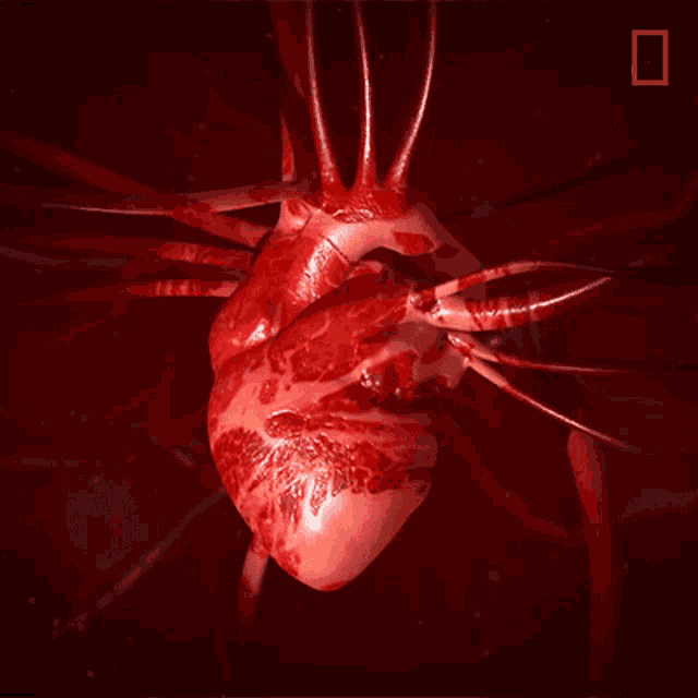 a computer generated image of a bloody heart with the national geographic logo in the corner