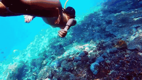 Sea Snorkeling GIF - Sea Snorkeling Diving GIFs