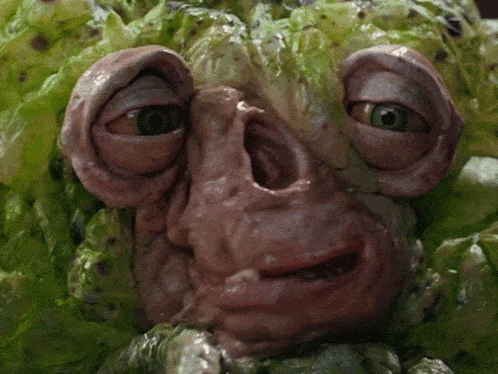 a close up of a face made out of lettuce leaves
