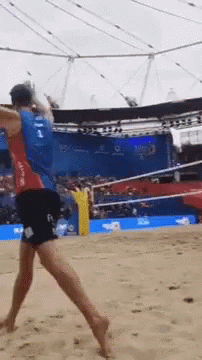 Anders Mol Beach Volleyball GIF