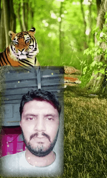a picture of a man with a beard and a tiger in the background