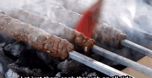 Haseem Party GIF - Haseem Party Bbq GIFs