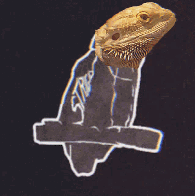a lizard is sitting on a branch with a white outline around its head
