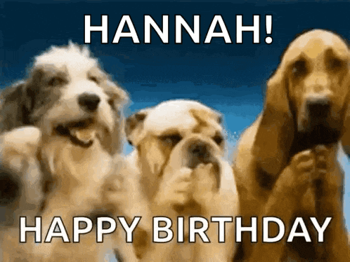 three dogs are standing next to each other with the words hannah ! happy birthday written on the bottom