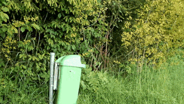 a green trash can is sitting in the grass near a lush green forest