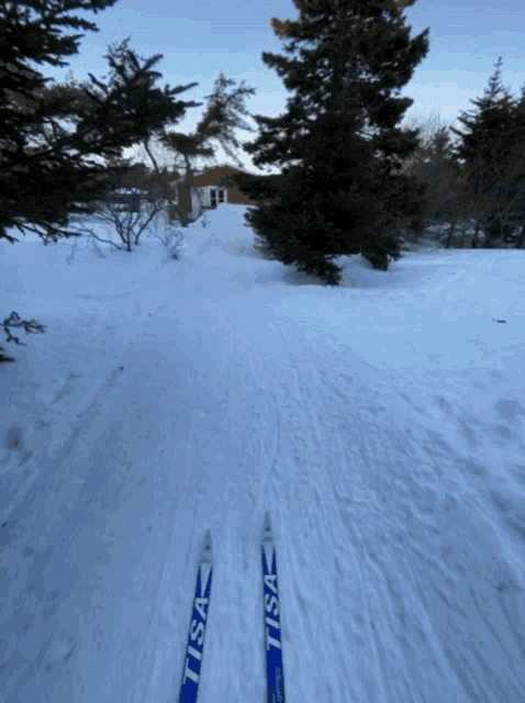 a pair of lisa skis are on a snowy trail