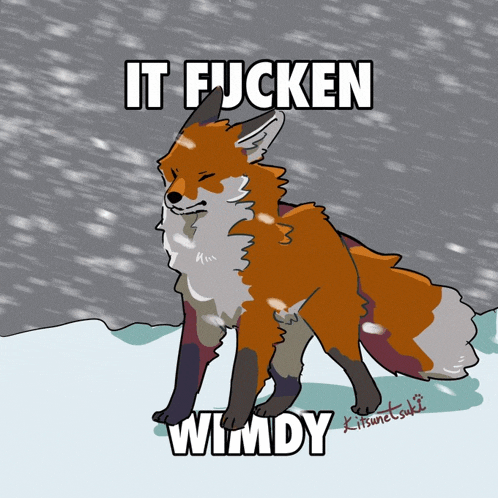 a cartoon of a fox with the words " it fucken wimdy " below it