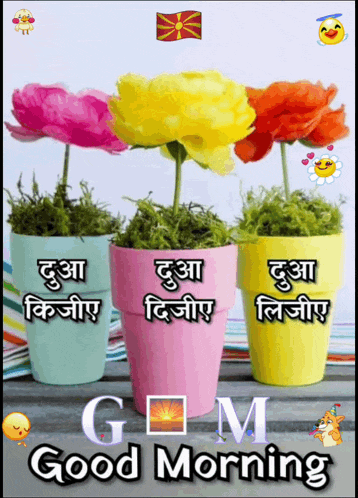 a gm good morning sign with three potted plants