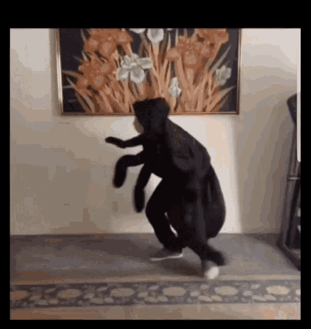 Dancing Spider GIF - Dancing Spider GIFs