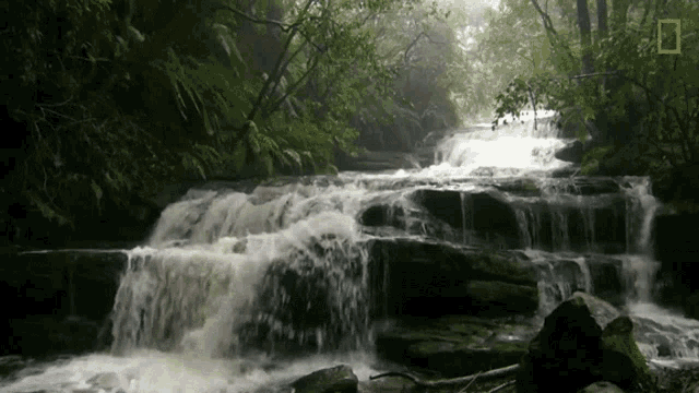 Waterfall Flowing Water GIF - Waterfall Flowing Water The Power Of Water GIFs