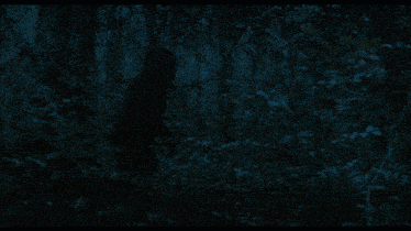 a silhouette of a person walking through a dark forest