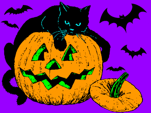 Halloween GIF - Halloween Cat Blackcat GIFs