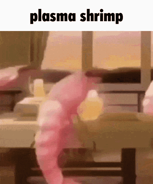Plasma Shrimp Ror2 GIF - Plasma Shrimp Ror2 Shrimple GIFs