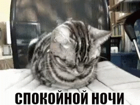 спокойной ночи кот засыпает GIF - Good Night Cat Falling Asleep GIFs