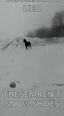 Horse Snow GIF - Horse Snow Jump Fail GIFs