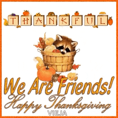 a raccoon is sitting in a basket of pumpkins and leaves with the words `` we are friends ! happy thanksgiving '' .