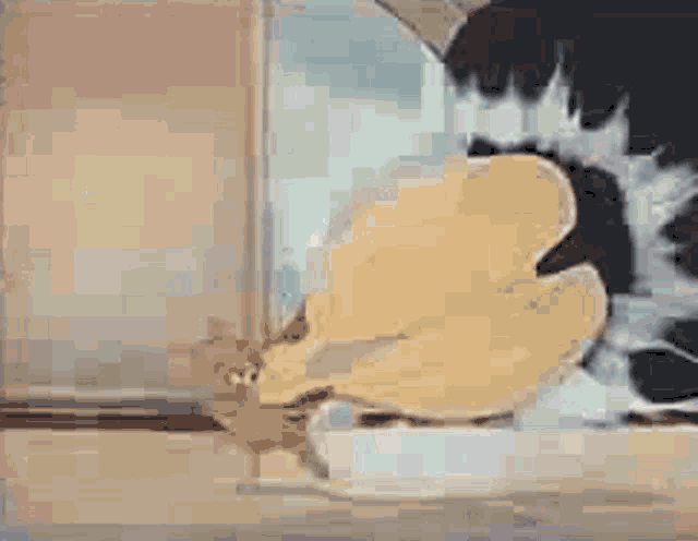 Tom And Jerry Catch GIF - Tom And Jerry Catch Fail GIFs