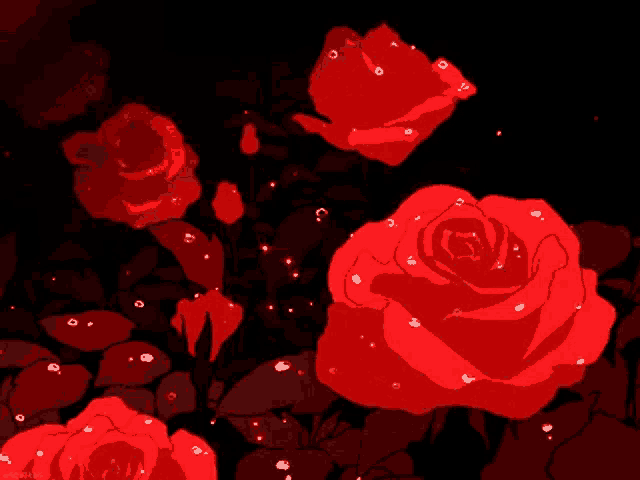 a bunch of red roses on a dark background