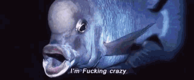 a close up of a fish with the words `` i 'm fucking crazy '' written below it .