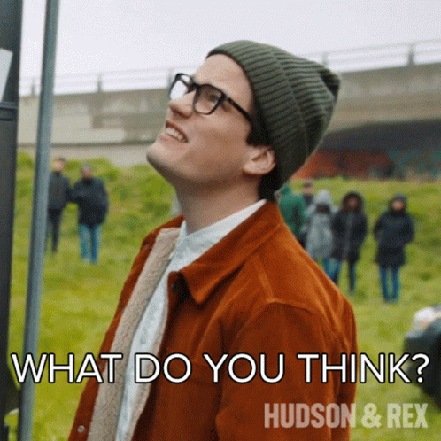 What Do You Think Jesse Mills GIF - What Do You Think Jesse Mills Hudson And Rex GIFs