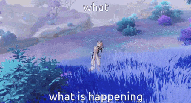 a video game character standing in a field with the words what is happening