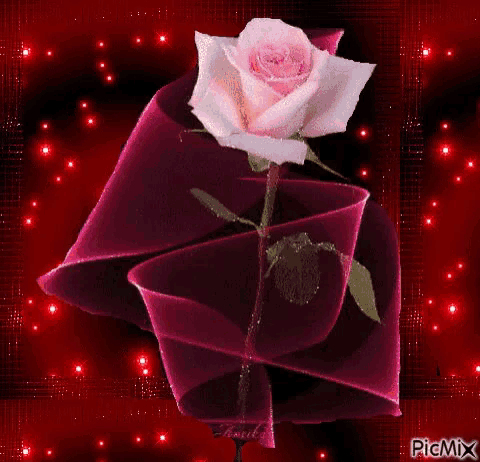 a pink rose is sitting on top of a red ribbon on a red background .