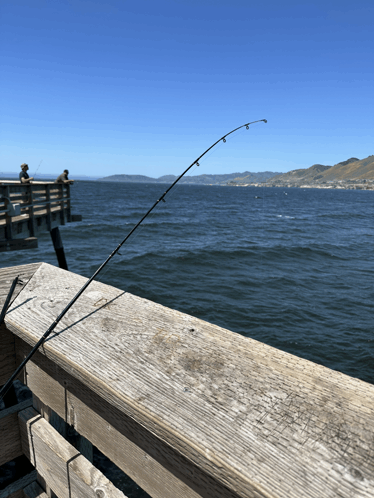 Fishing Gone Fishing GIF - Fishing Gone Fishing Fish GIFs
