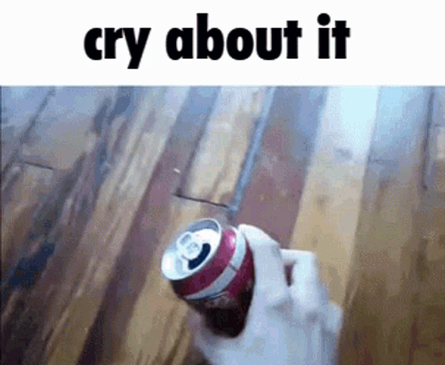 Cry About It Can GIF - Cry About It Can Alantutorial GIFs
