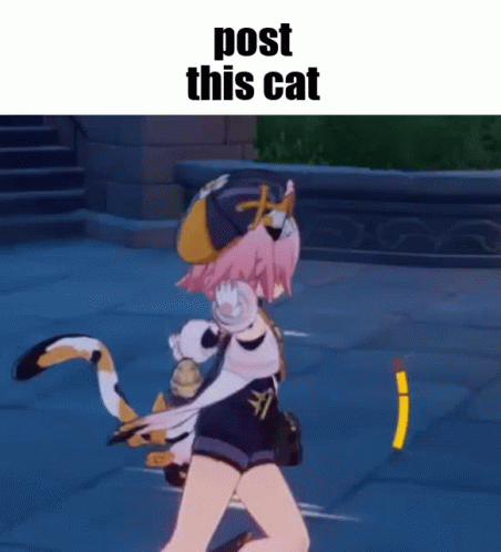 Post This Cat Cat GIF - Post This Cat Cat Diona GIFs