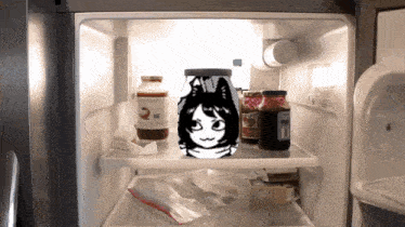 the inside of a refrigerator with a picture of a cat on top