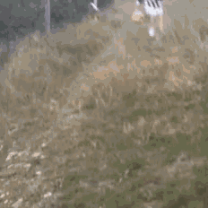 a man in a striped shirt is running with a bag of potatoes in his hand .