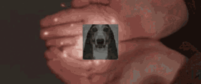 a person is washing their hands and there is a picture of a dog on their hand .