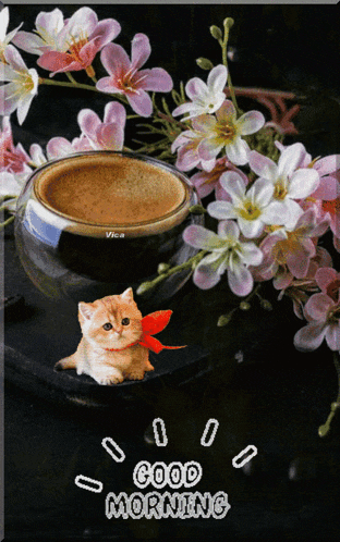 a kitten sits next to a cup of coffee and flowers with the words good morning