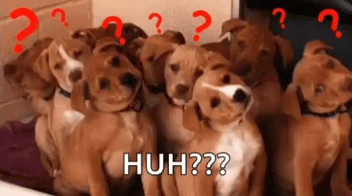 Confused Dogs GIF - Confused Dogs Question Marks GIFs