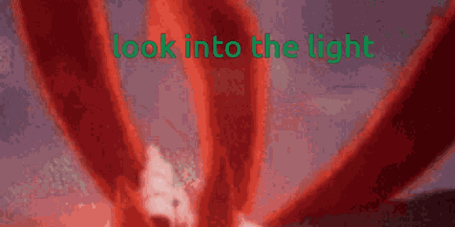 a white background with the words look into the light in green letters
