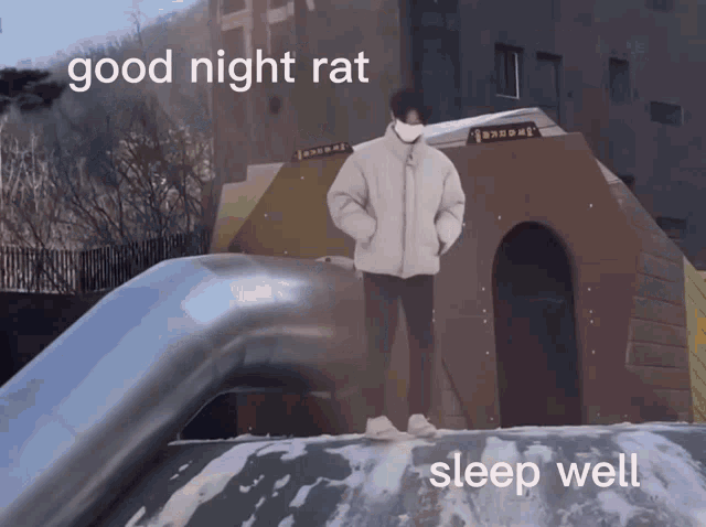 a man wearing a mask stands on top of a slide with the words " good night rat sleep well " below him