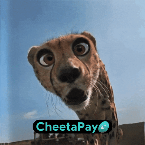 a cheetah with a cheetapay logo in the corner